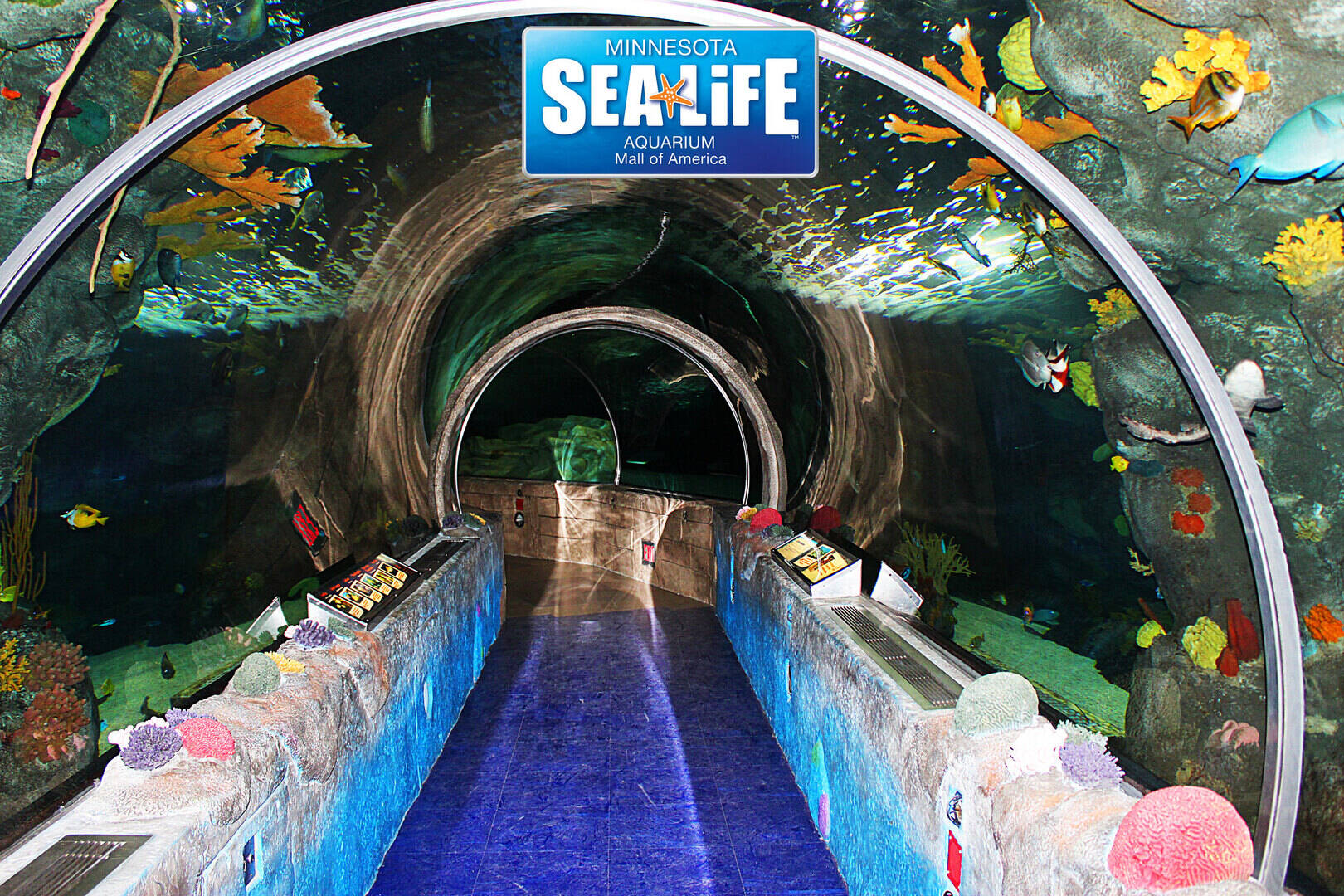 SEA LIFE Minnesota Aquarium Tour